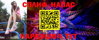 a pvp Будённовск