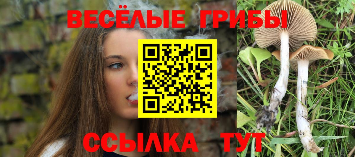 Псилоцибиновые грибы GOLDEN TEACHER  Вход с VPN  Морозовск 