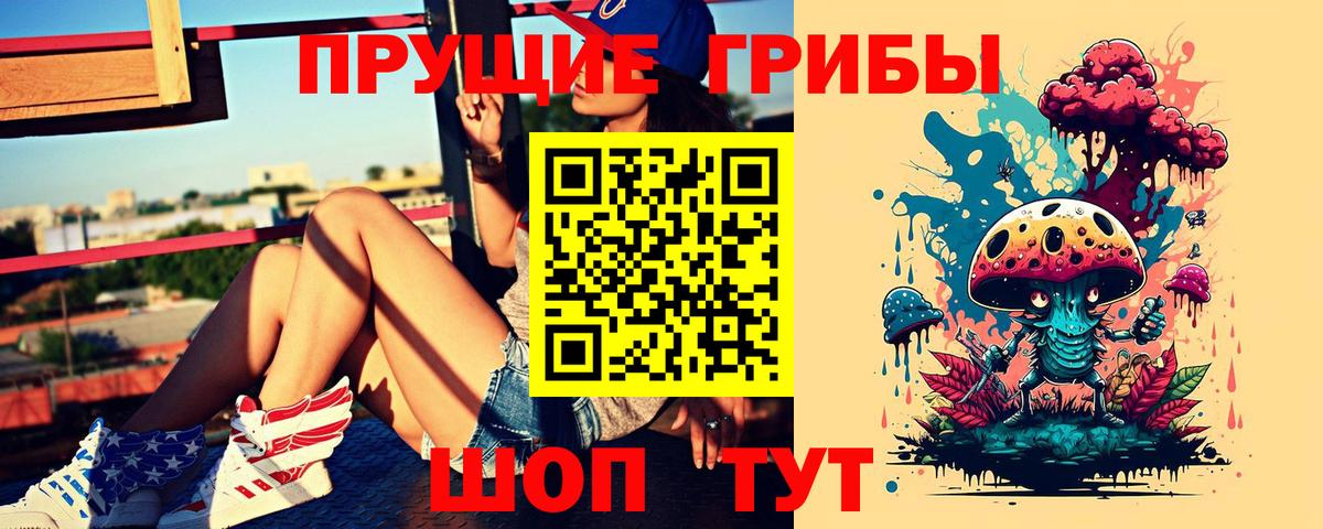 Псилоцибиновые грибы Psilocybine cubensis Морозовск